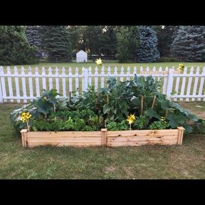 Meet your Posher, Suzanne